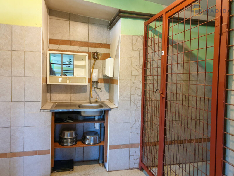 Hotel pre psov